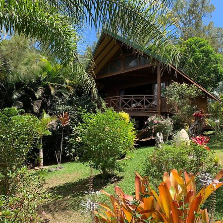 Le Nirvana - Oasis De Tendea - Farino Exteriör bild
