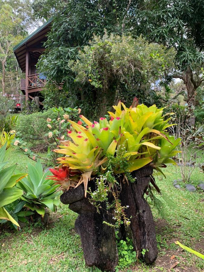 Le Nirvana - Oasis De Tendea - Farino Exteriör bild