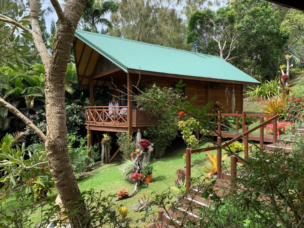 Le Nirvana - Oasis De Tendea - Farino Exteriör bild