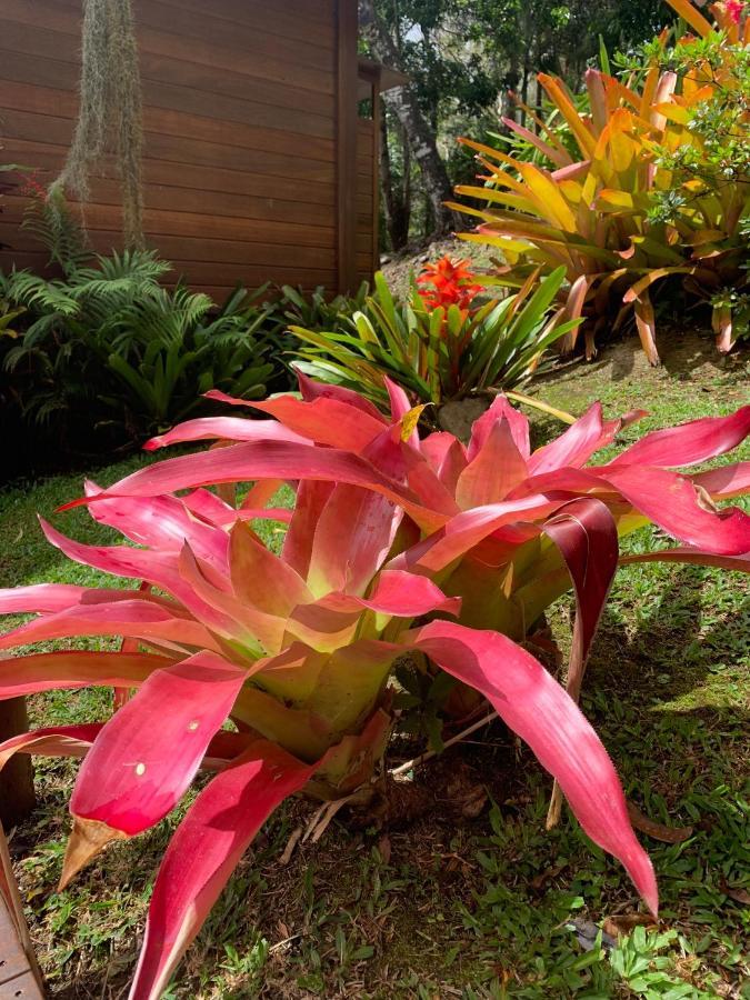 Le Nirvana - Oasis De Tendea - Farino Exteriör bild