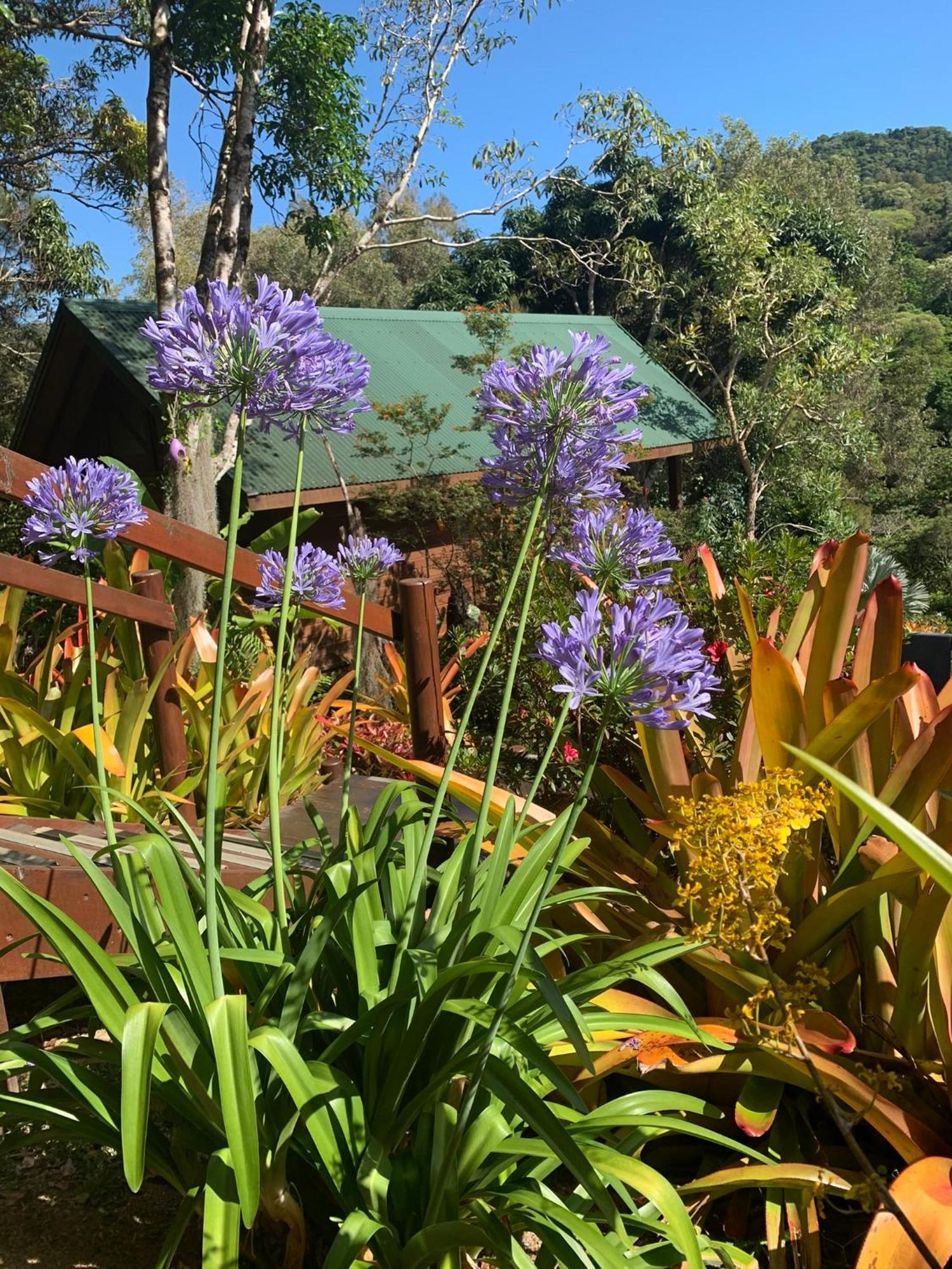 Le Nirvana - Oasis De Tendea - Farino Exteriör bild