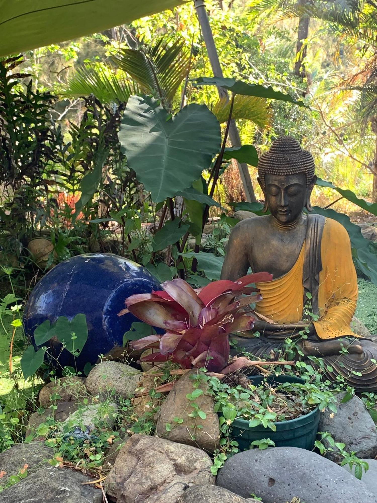 Le Nirvana - Oasis De Tendea - Farino Exteriör bild